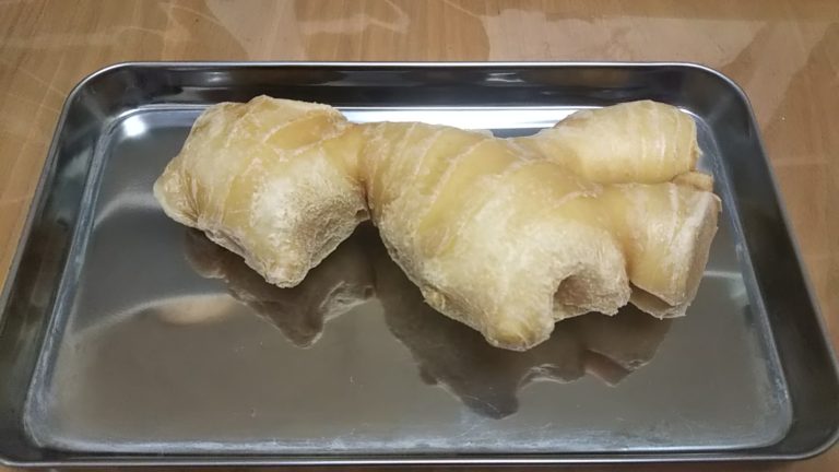 立派なショウガ